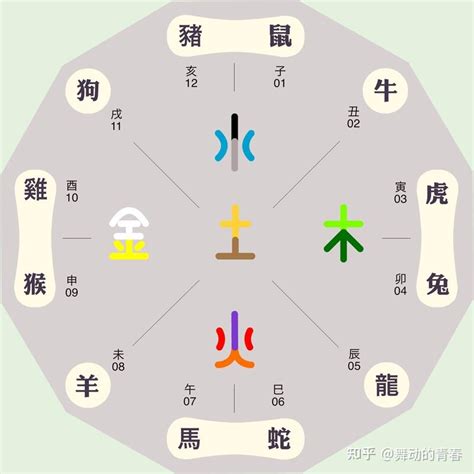 九 五行|九的五行属性是什么